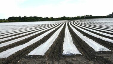 Attention aux films agricoles usagés d'Espagne!