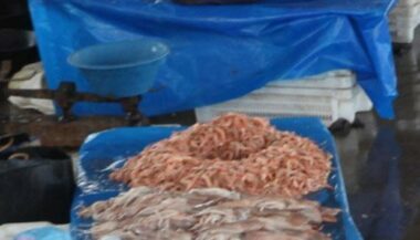 Ramadan: flambée des prix des crevettes et des agrumes