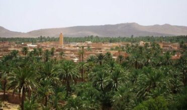 Vague de chaleur: les conseils du ministère de la Santé