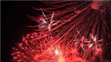 Fête du Trône: les festivités en vidéos