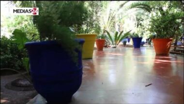 Jardin Majorelle. Un havre de paix au cœur de Marrakech (vidéo)