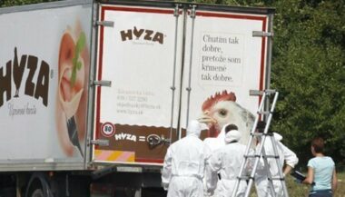 Des dizaines de migrants retrouvés morts dans un camion en Autriche