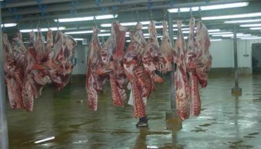 Aid Al Adha: Le service d’abattage pour l’Aid suscite le scepticisme