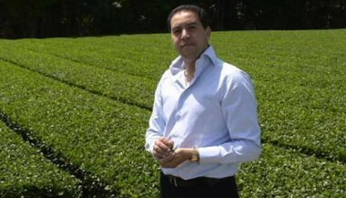 Saga. Comment une entreprise marocaine est devenue leader mondial du thé de luxe