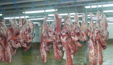 Les viandes rouges et la charcuterie sont cancérogènes selon l'OMS