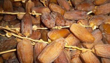 Les dattes marocaines ne sont pas assez valorisées sur le marché international