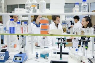 Le CESE propose un modèle économique réorienté vers l'innovation