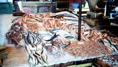 Le Maroc au salon Seafood en Corée du Sud