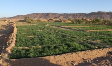 Le plan Maroc Vert doit aider davantage les petits agriculteurs, selon l'ONU