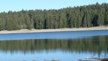 Une école de l'éducation environnementale et de l'écotourisme ouvre à Ifrane
