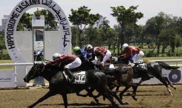 La filière équine vise 1,1 MMDH de recettes fiscales à l'horizon 2020