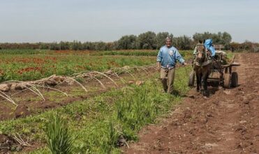 Le Maroc participe au salon FHC China à Shanghai
