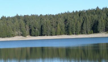 Le Plan directeur national pour dynamiser les investissements forestiers vise 1,25 MMDH de fonds privés