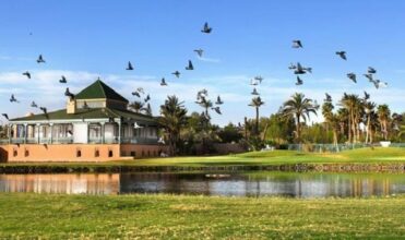 Palm world vacation: le nouveau concept de vacances de Palmeraie développemet