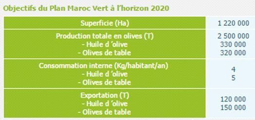 Au Maroc, les coûts de production d’huile d’olive sont les plus bas au monde