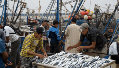 En 2014, la production halieutique a atteint 1,35 million T