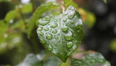 Enfin, la pluie au Maroc