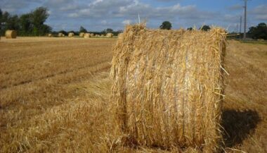 Saham se lance dans l’assurance agricole, convention signée