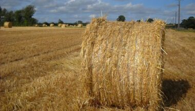 L'assurance agricole &ldquo;ouverte à toutes les compagnies d'assurances&rdquo;