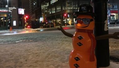 Les clémentines marocaines à l'honneur dans les rues de Montréal
