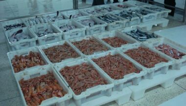 L’ONP lance une opération de saisie des caisses normalisées