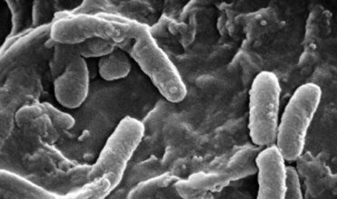 Maladies rares: un Marocain sur 20 est concerné