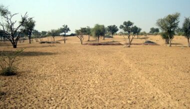 Dakhla: des mesures face au déficit pluviométrique