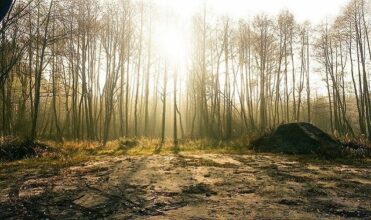 Prévisions météorologiques pour le jeudi 4 février 2016