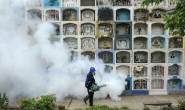 Zika: 5 choses à savoir sur le virus