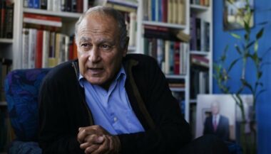 Un fidèle de Moubarak à la tête de la Ligue arabe