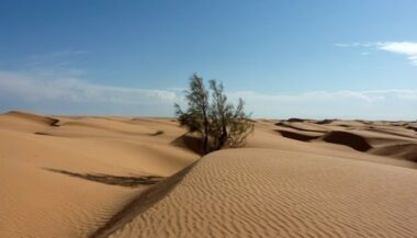 Nasa: la poussière du Sahara fertilise l'Amazonie