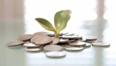 Financement du business agricole: L'étrange classement de la Banque mondiale