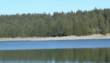 Parc national de Khénifra : les détails du plan d’aménagement et de gestion