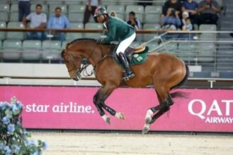 Sport équestre: Le Maroc qualifié aux J.O de Rio