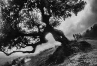 Photographie: &ldquo;La chambre claire&rdquo;, du 8 mars au 10 juin à la fondation Alliances