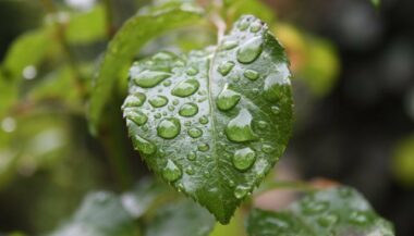 Météo: temps nuageux et faibles pluies ce mardi