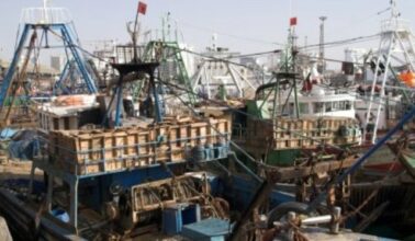 Police portuaire. Les armateurs de pêche font front commun contre le dernier projet de loi de Rabbah