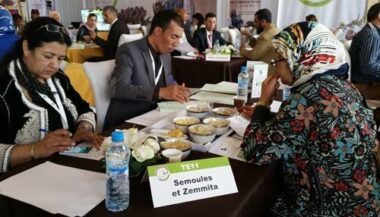Plus de 470 produits en lice au concours des produits du terroir