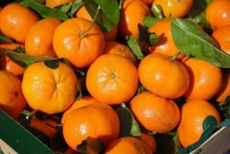 Fruits et légumes. Nouveau blocage des importations russes en provenance de Turquie