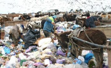 Décharge de Médiouna. Le problème du nouveau terrain a été réglé in extremis