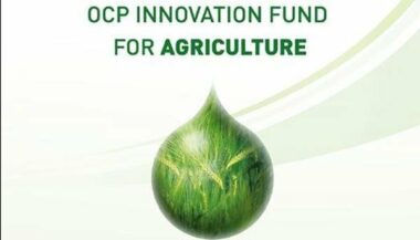 OCP Innovation Fund for Agriculture lance un appel à projets