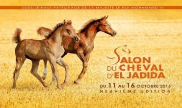 Les Emirats arabes unis l'invité d'honneur du Salon du cheval d’El Jadida 2016