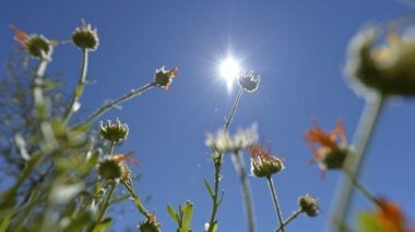 Vers une nouvelle année de chaleur record sur le globe