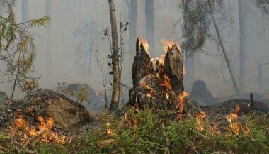 Tétouan: un feu de forêt se déclare dans la commune de Jbel Lahbib