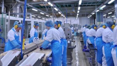 Maroc: La Russie envoie ses experts pour évaluer les usines de transformation de poisson