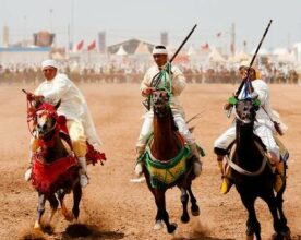 La Tbourida officiellement inscrite au patrimoine culturel immatériel de l'Unesco