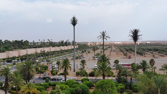 A J-55, les travaux du site de la COP22 entament leur dernière phase