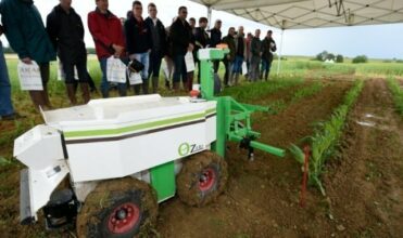 Les fermes connectées, futur de l'agriculture ?