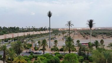 Hassad mobilise les Marrakchis pour la COP22