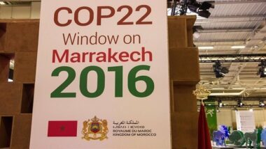 COP22. Les accréditations pour la Zone verte sont ouvertes